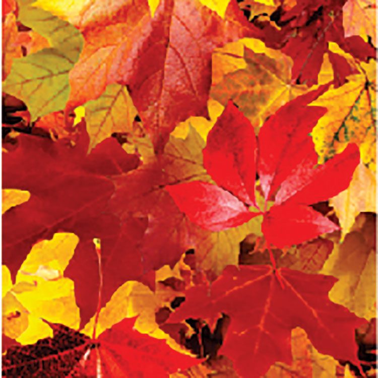 Easypatterns Heat Transfer Vinyl - 12" X 1 YD