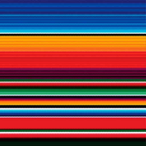 Easypatterns Plus Heat Transfer Vinyl Roll - 12" X 1 YD