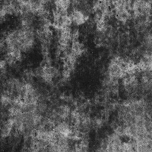 Easypatterns Plus Heat Transfer Vinyl Roll - 12" X 1 YD