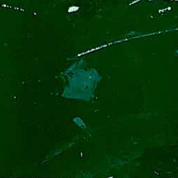 76000 Series Polyester Solvent Screen Printing Ink – Quart – Air Dry