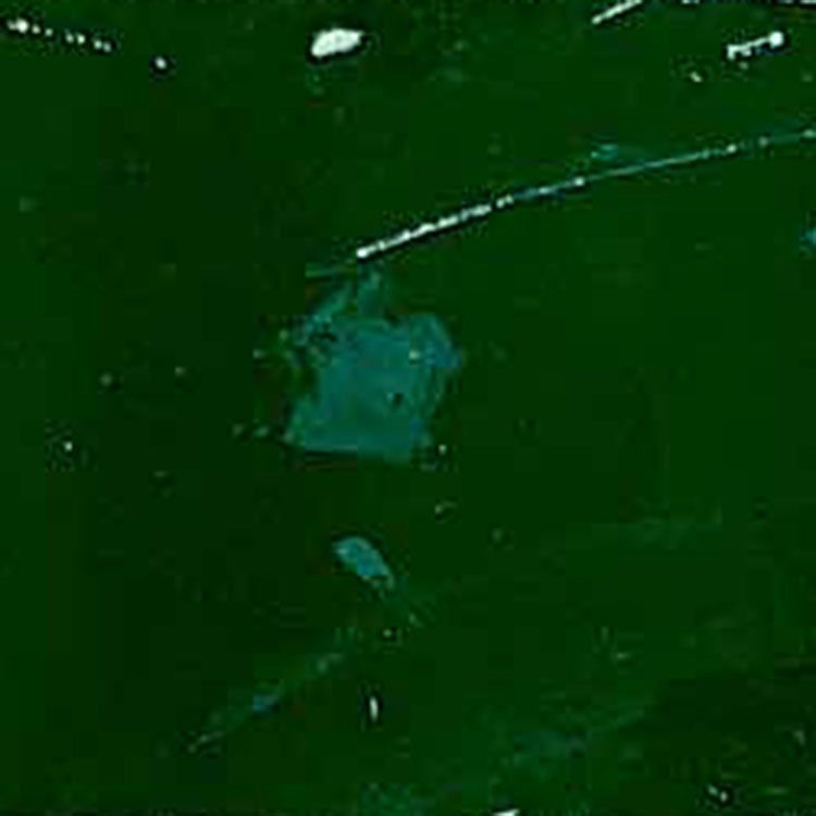 76000 Series Polyester Solvent Screen Printing Ink – Gallon – Air Dry