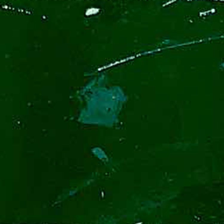 40000 Series Gloss Vinyl Screen Printing Ink Gallon | Superior Adhesion & Long-Lasting Durability