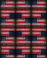 ThermoFlex® Fashion Patterns – Vibrant & Versatile Patterned Heat Transfer Vinyl (HTV) 12" X 1 Yard X 1 Yard