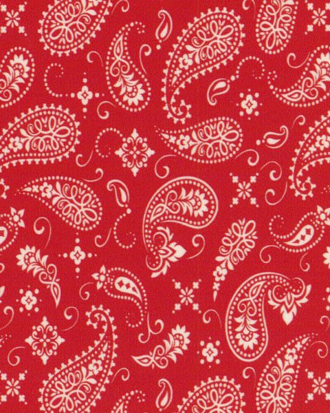 ThermoFlex® Fashion Patterns – Vibrant & Versatile Patterned Heat Transfer Vinyl (HTV) 12" X 1 Yard