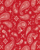 ThermoFlex® Fashion Patterns – Vibrant & Versatile Patterned Heat Transfer Vinyl (HTV) 12" X 1 Yard X 1 Yard