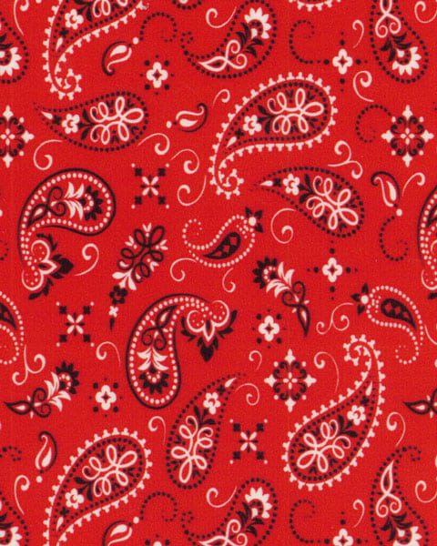 ThermoFlex® Fashion Patterns – Vibrant & Versatile Patterned Heat Transfer Vinyl (HTV) 12" X 1 Yard