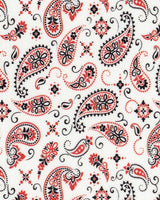 ThermoFlex® Fashion Patterns – Vibrant & Versatile Patterned Heat Transfer Vinyl (HTV) 12" X 1 Yard X 1 Yard