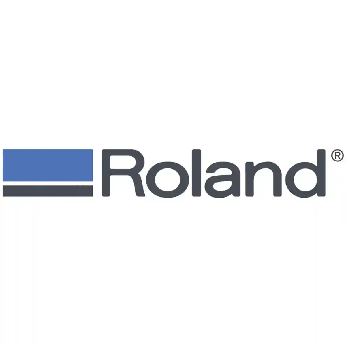 Roland 60°/1.00 Offset 60*/1.00 Offset Premium Blade, 5 Ea. - Sandblast ROLAND®
